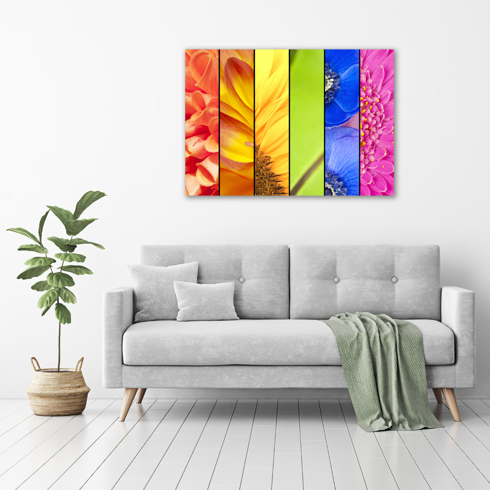 Photo printed on glass Colorful flowers