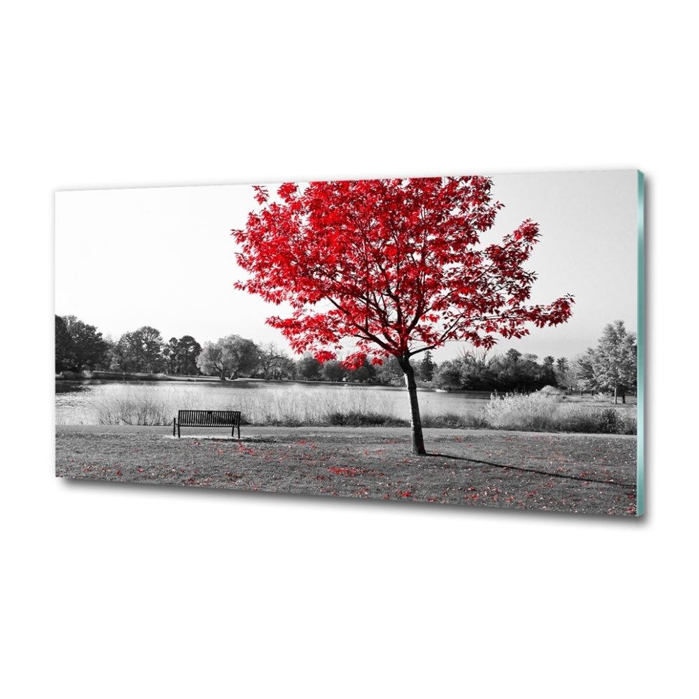 Glass picture print Red tree