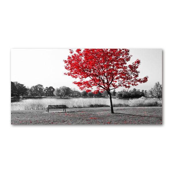 Glass picture print Red tree