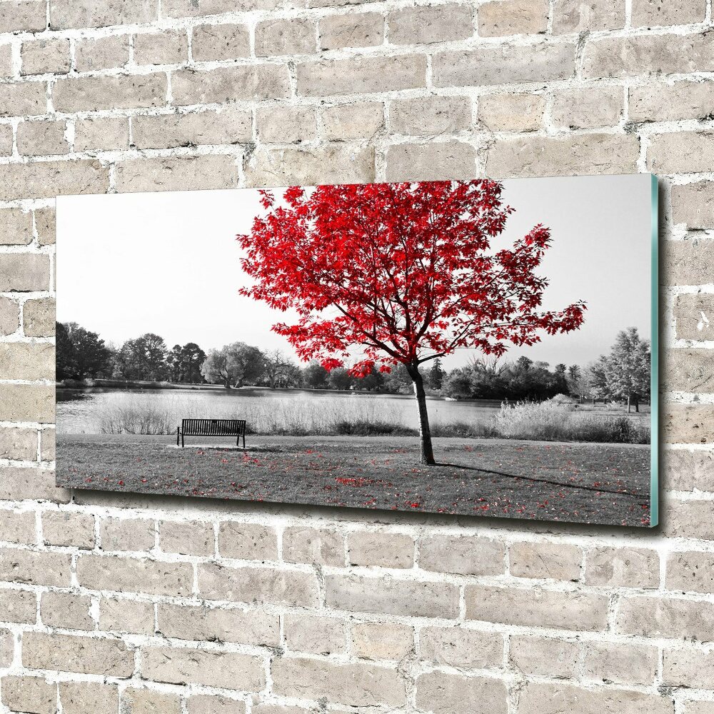 Glass picture print Red tree