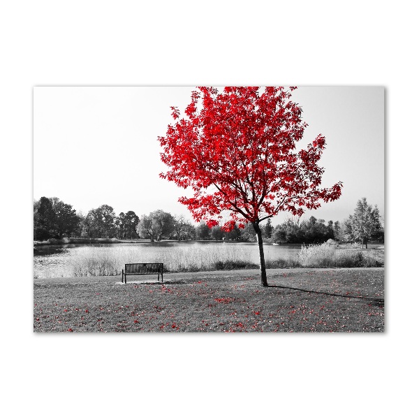 Glass picture print Red tree