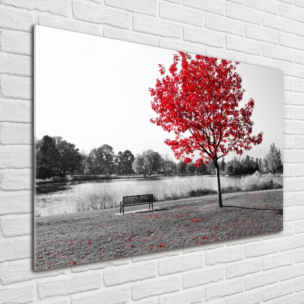 Glass picture print Red tree