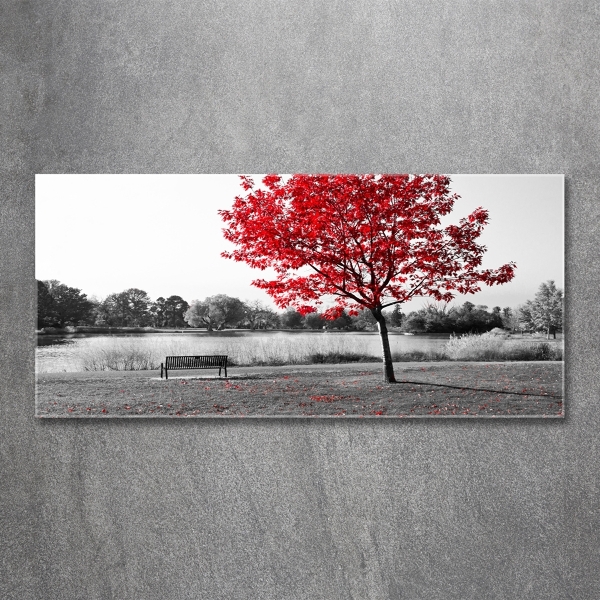 Glass picture print Red tree