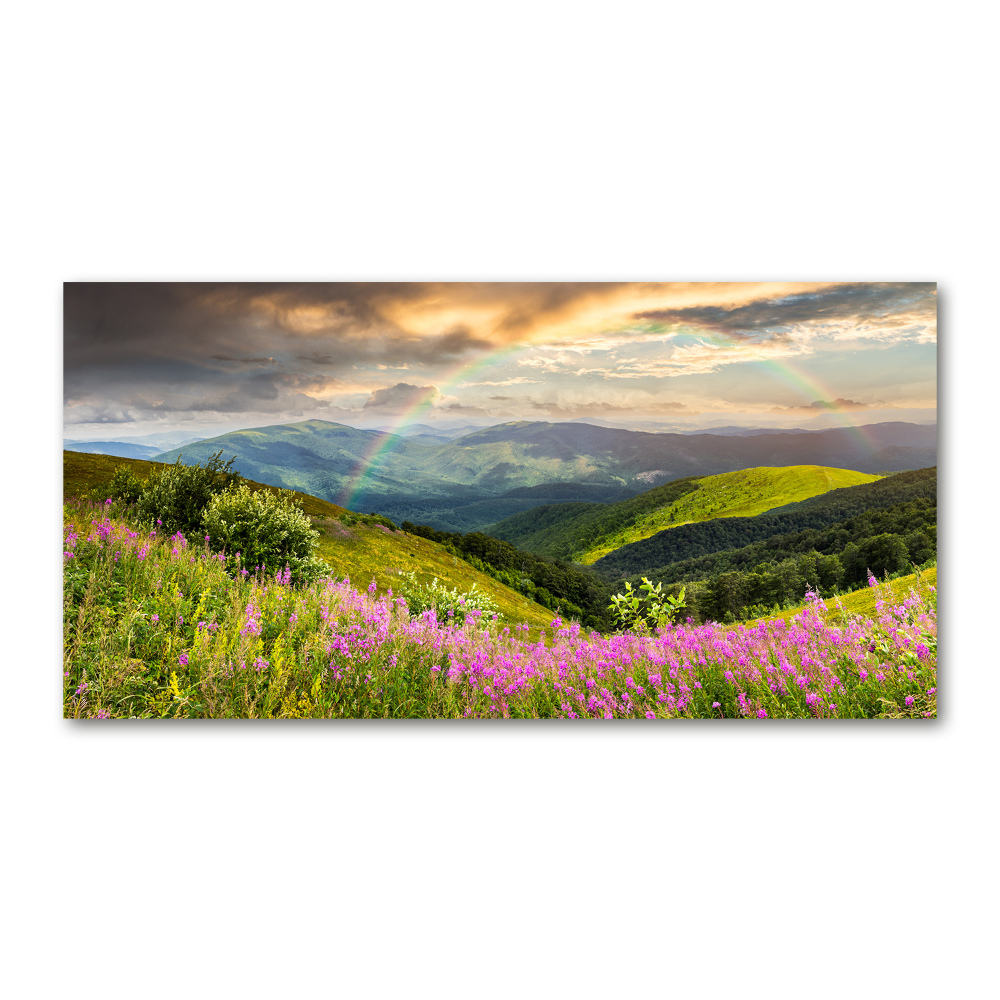 Glass wall art large Mountain landscape