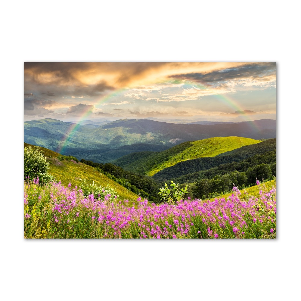 Glass wall art large Mountain landscape