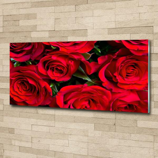 Photo printed on glass Red roses