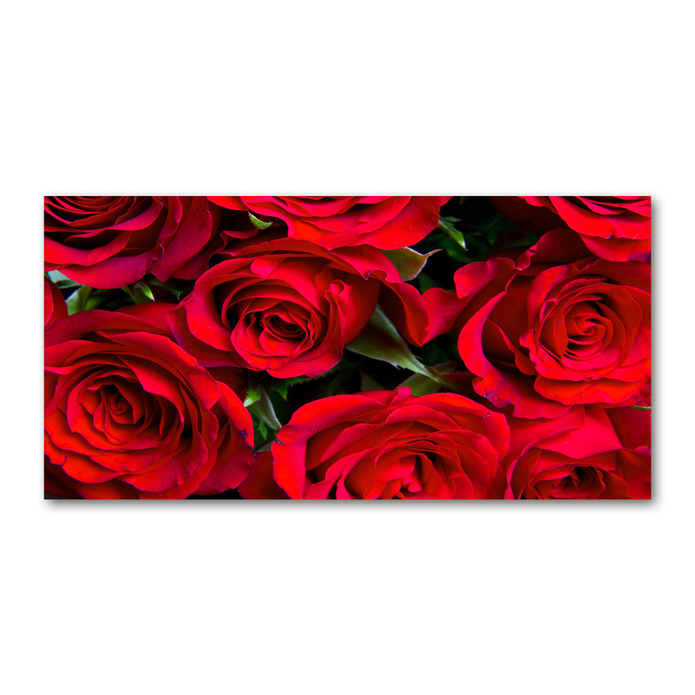 Photo printed on glass Red roses