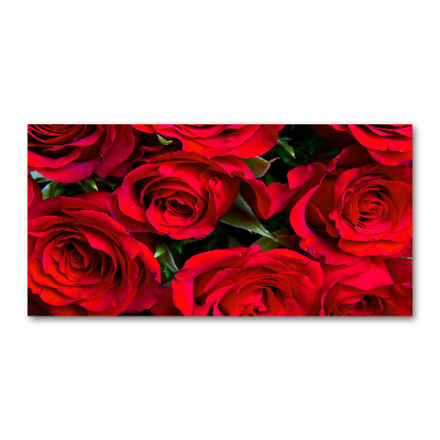 Photo printed on glass Red roses