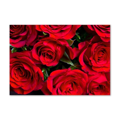 Photo printed on glass Red roses