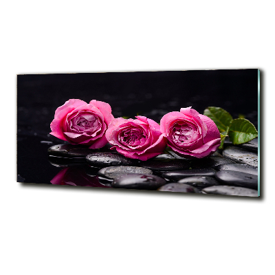 Photo printed on glass Pink roses