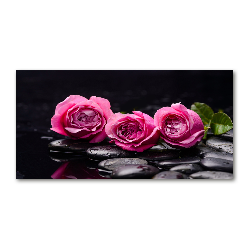 Photo printed on glass Pink roses