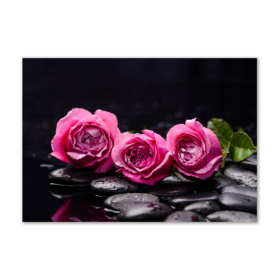 Photo printed on glass Pink roses