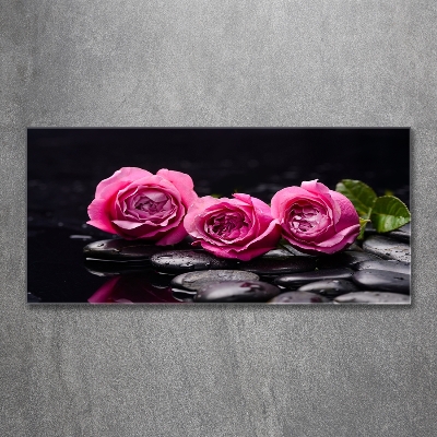 Photo printed on glass Pink roses