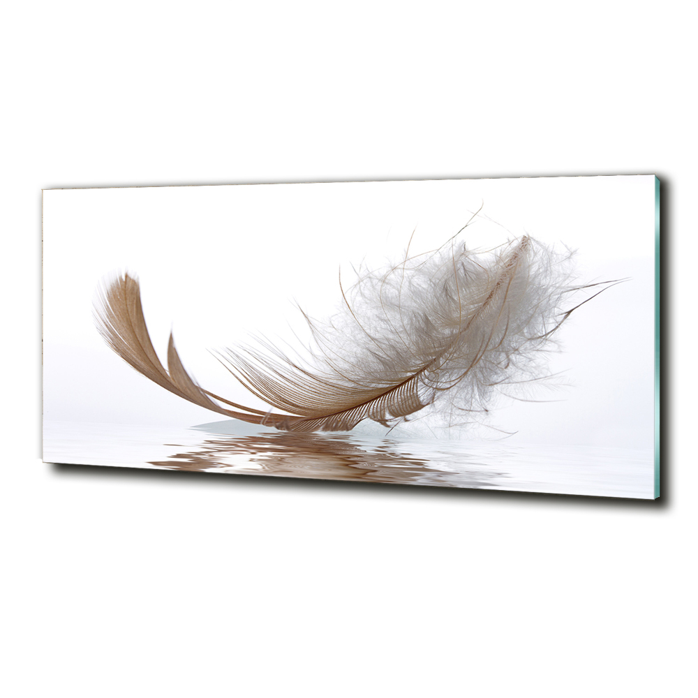 Printed glass wall art Feather on the water