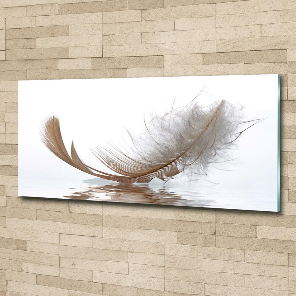 Printed glass wall art Feather on the water