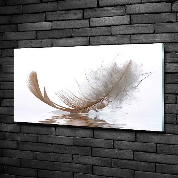 Printed glass wall art Feather on the water