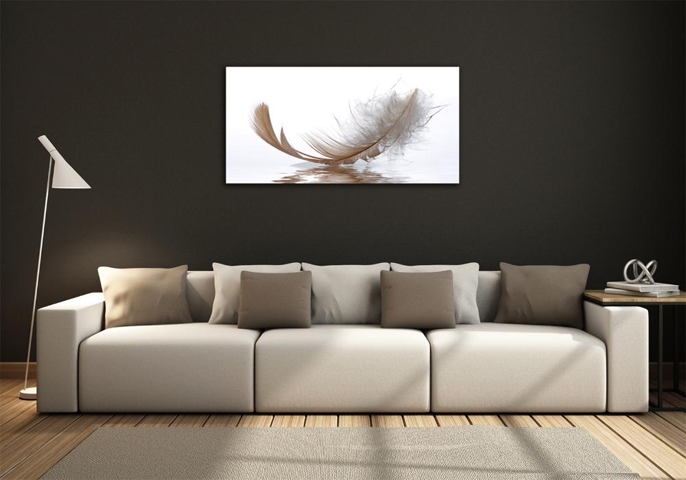 Printed glass wall art Feather on the water