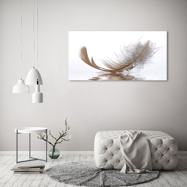 Printed glass wall art Feather on the water