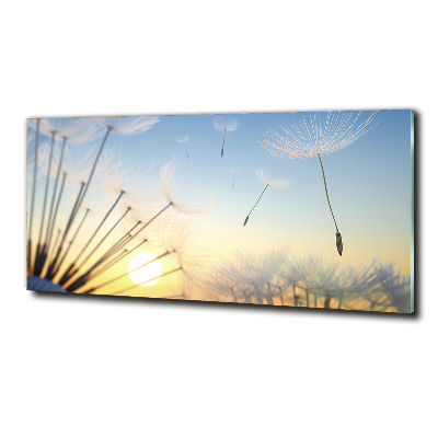 Photo printed on glass Dandelion seeds