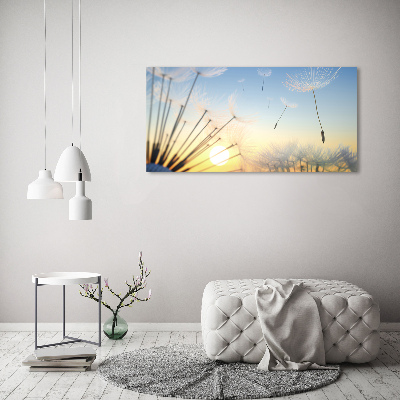 Photo printed on glass Dandelion seeds