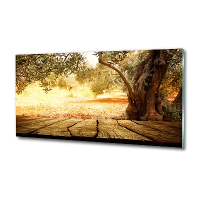 Glass wall art large Olive tree