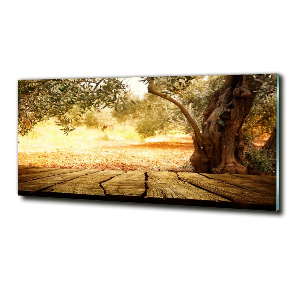 Glass wall art large Olive tree