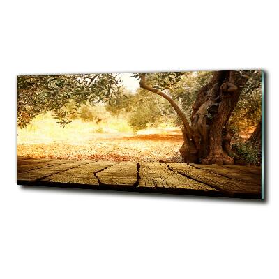 Glass wall art large Olive tree