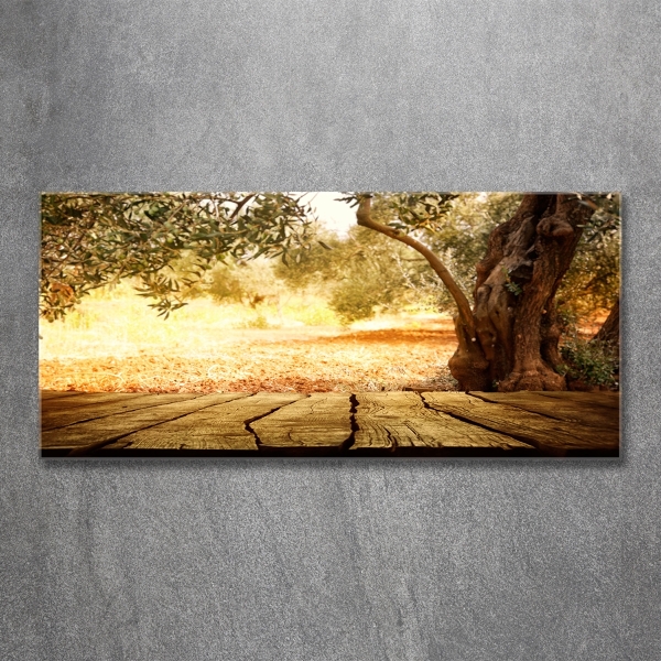 Glass wall art large Olive tree