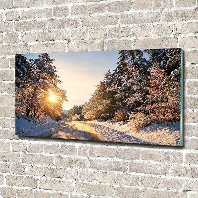 Glass wall art large Road in the forest in winter