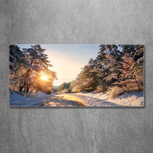 Glass wall art large Road in the forest in winter