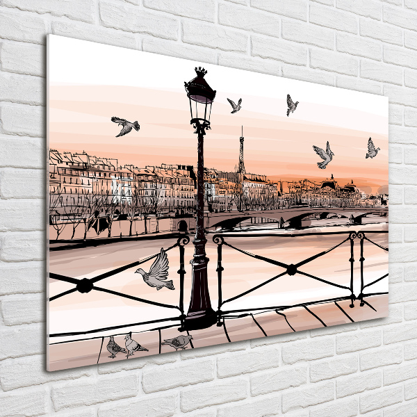 Wall art on glass Twilight in paris