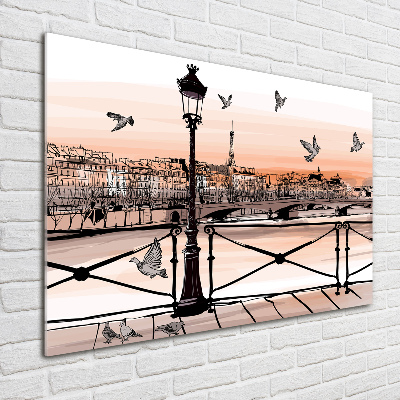 Wall art on glass Twilight in paris