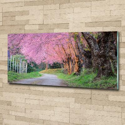 Glass picture print Cherry blossoms