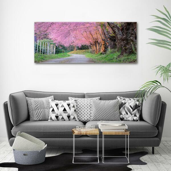 Glass picture print Cherry blossoms