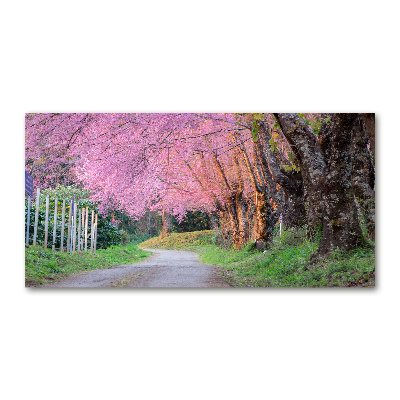 Glass picture print Cherry blossoms