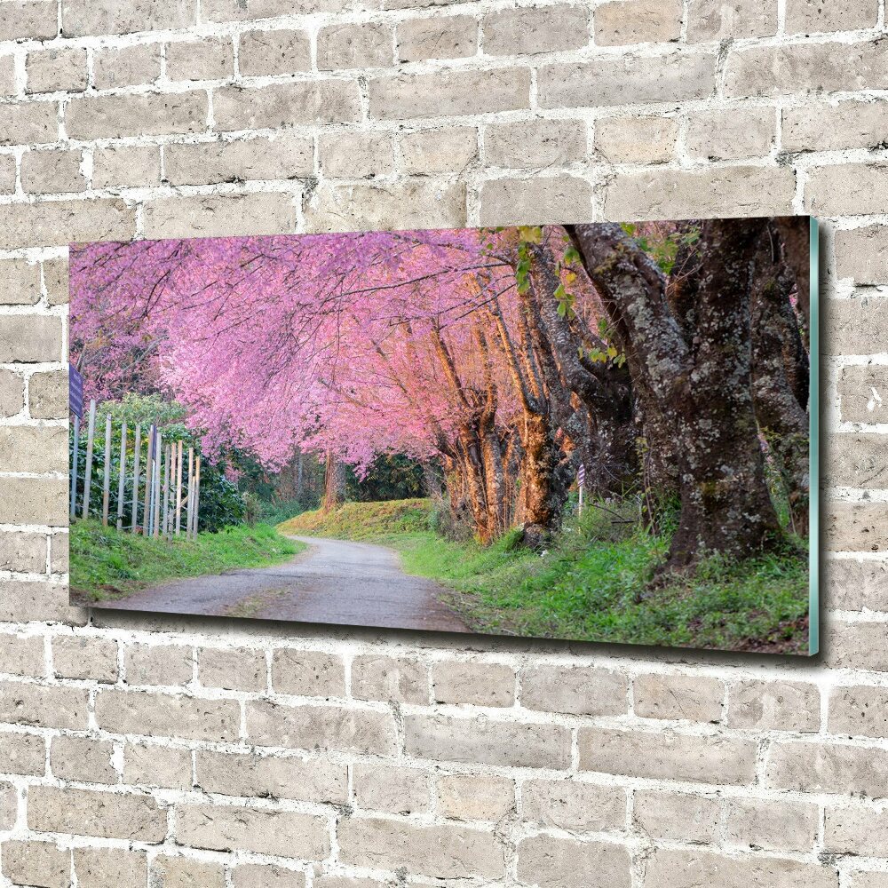 Glass picture print Cherry blossoms