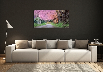 Glass picture print Cherry blossoms