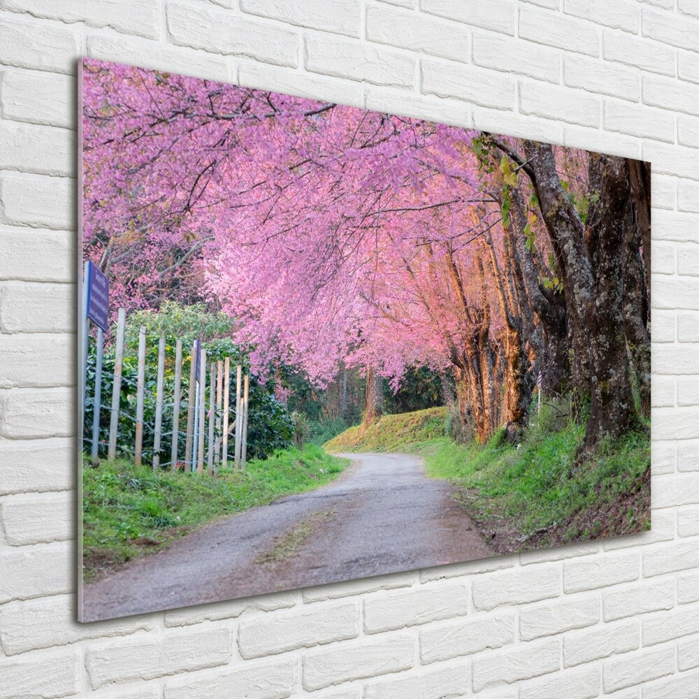 Glass picture print Cherry blossoms