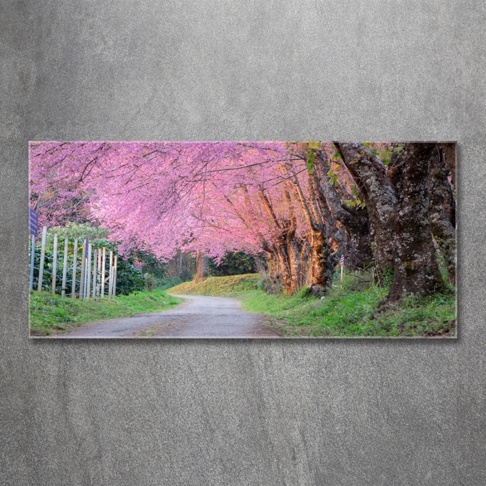 Glass picture print Cherry blossoms