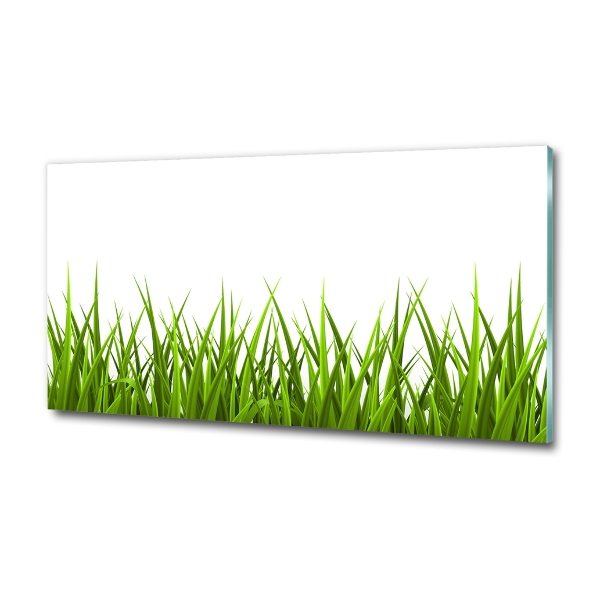 Photo printed on glass Grass