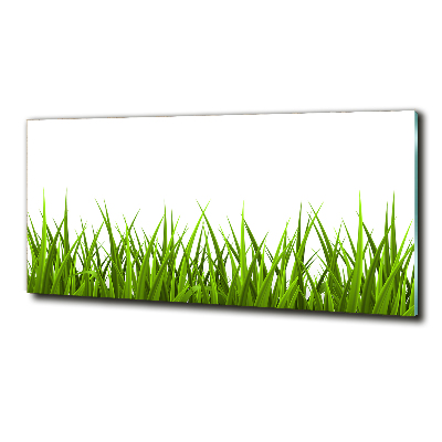 Photo printed on glass Grass