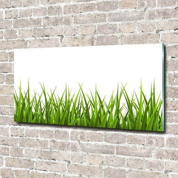 Photo printed on glass Grass