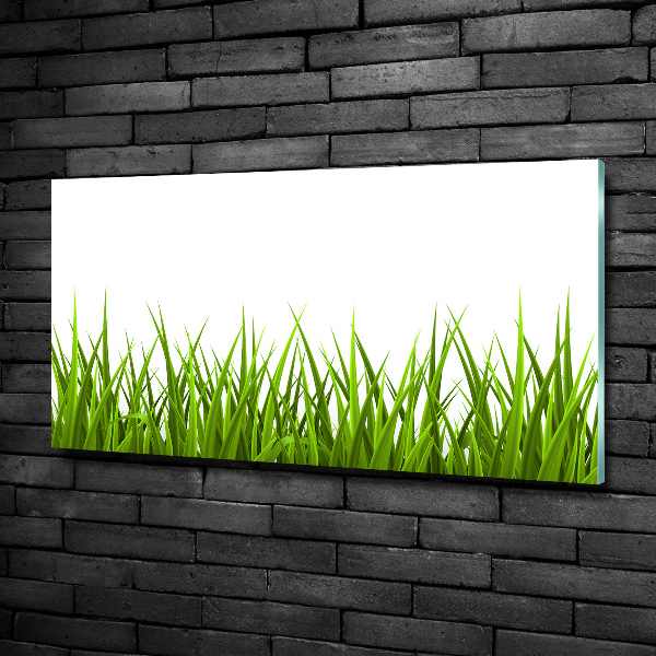 Photo printed on glass Grass