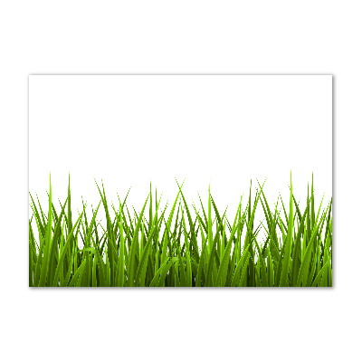 Photo printed on glass Grass