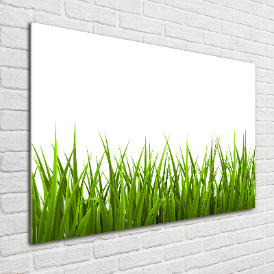 Photo printed on glass Grass