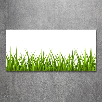 Photo printed on glass Grass