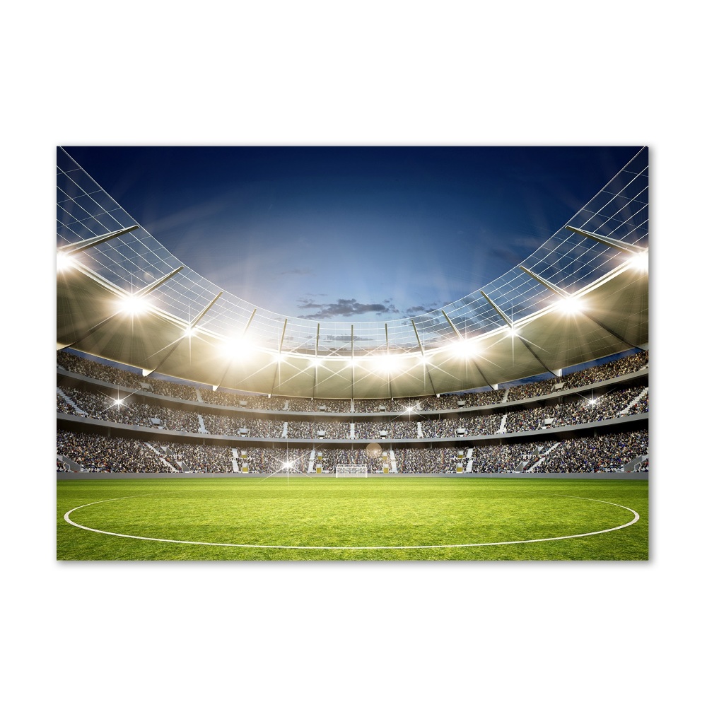 Glass wall art Stadium