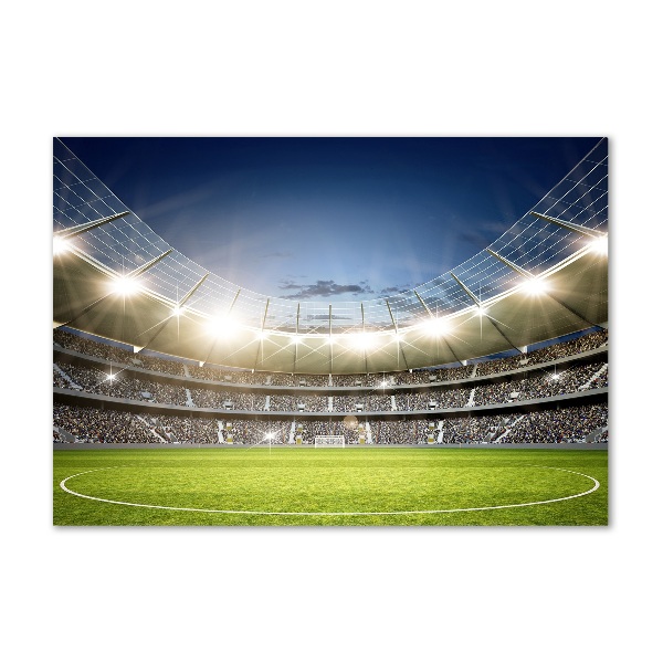 Glass wall art Stadium