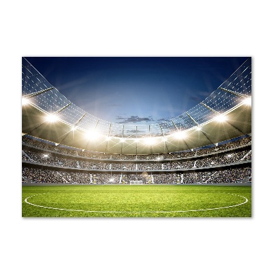 Glass wall art Stadium