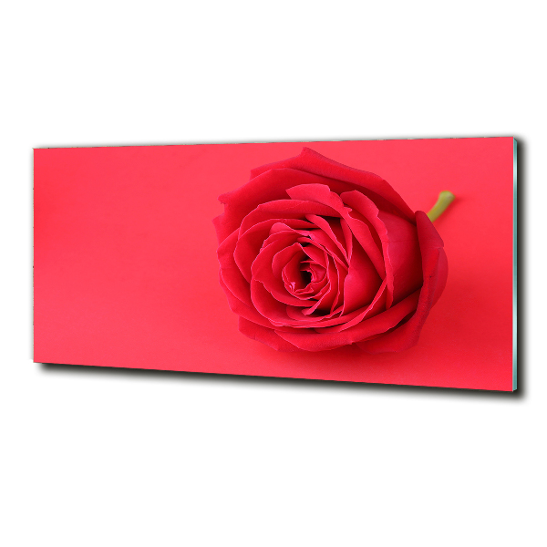 Glass wall art large Red rose